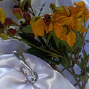 ANEL GOTA DÁGUA LONGA