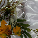 ANEL GOTA DÁGUA LONGA